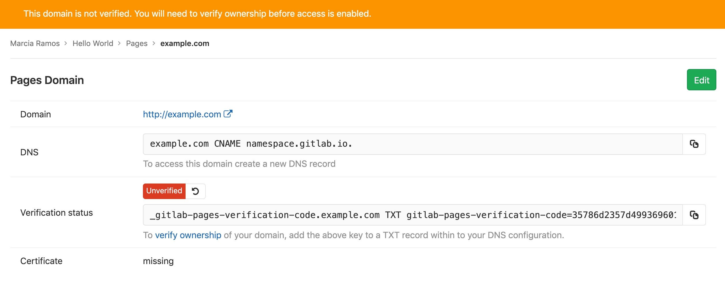 GitLab Pages domain verification code
